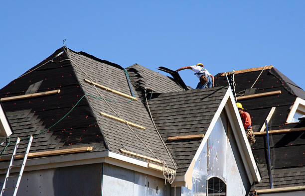 Best Emergency Roof Repair Services  in Muscle Shos, AL